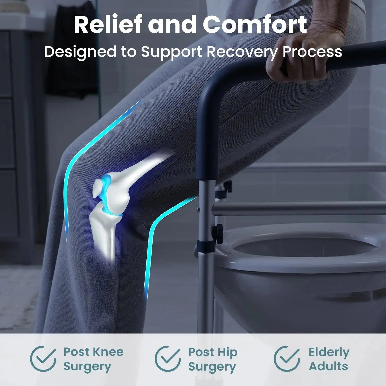 Allvibrant Toilet Safetly Rail (350lb)